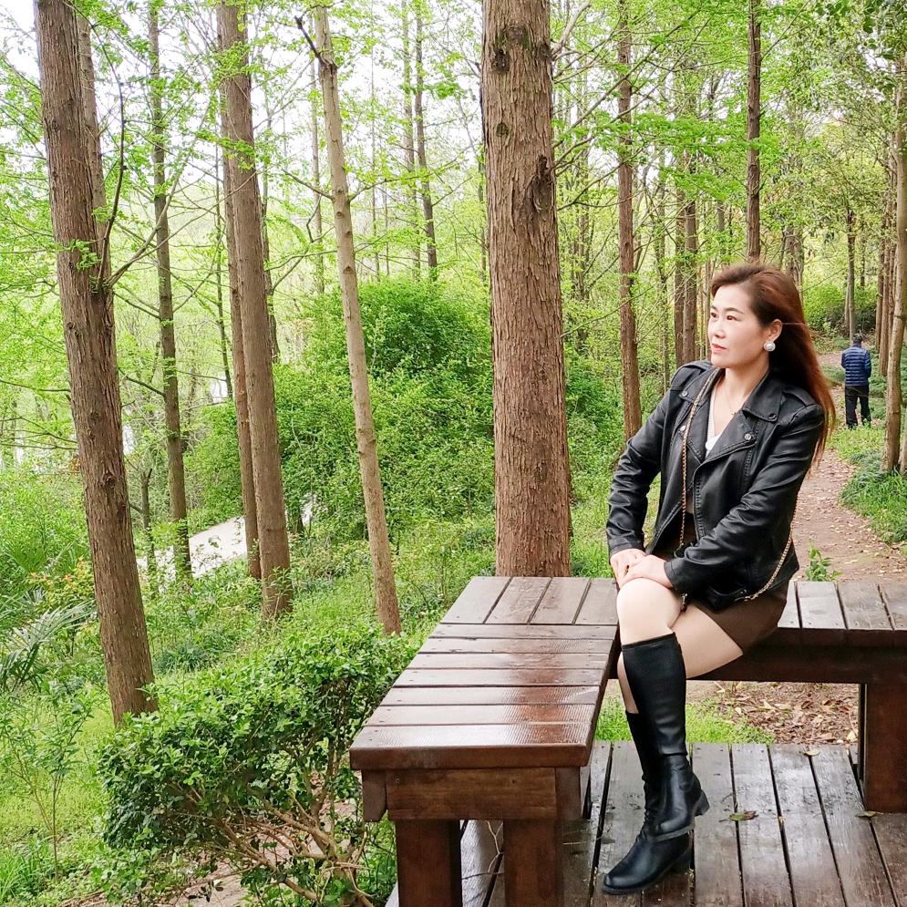 美丽的花朵