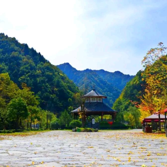 风景