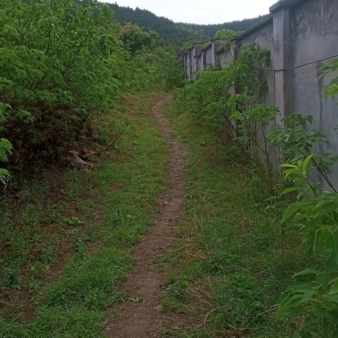 秋天