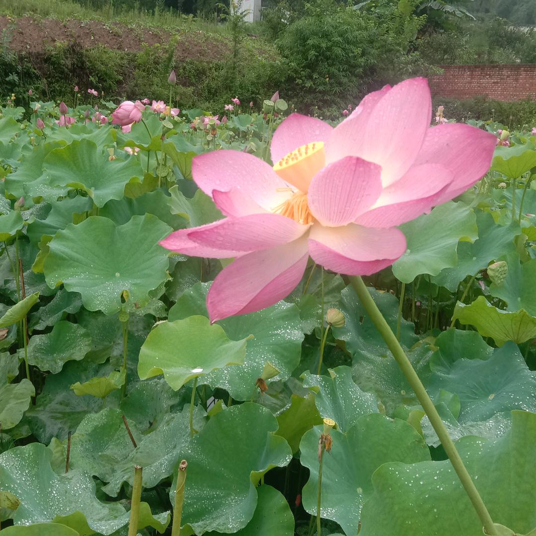 平姐专业开荒保洁