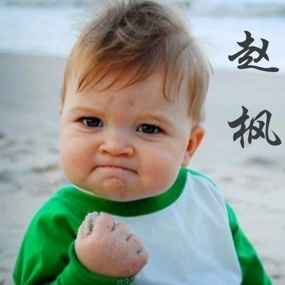 赵枫