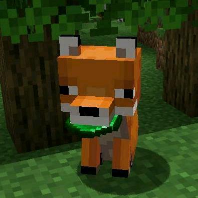 Silly Fox