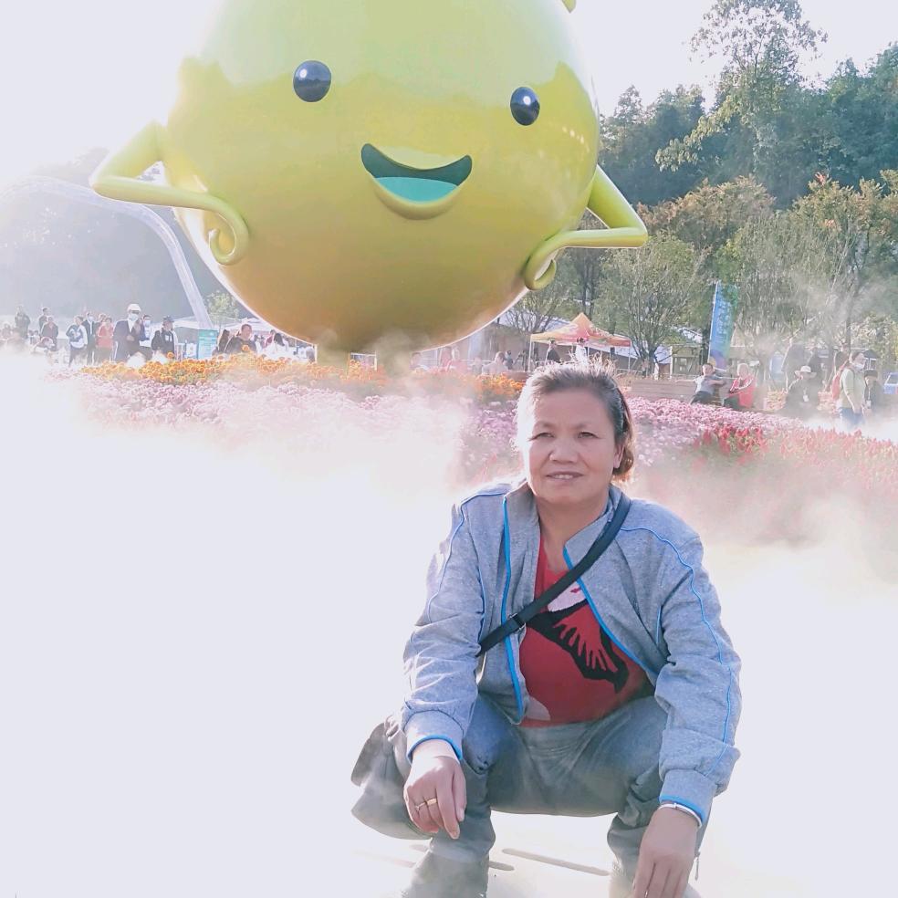 老朋友