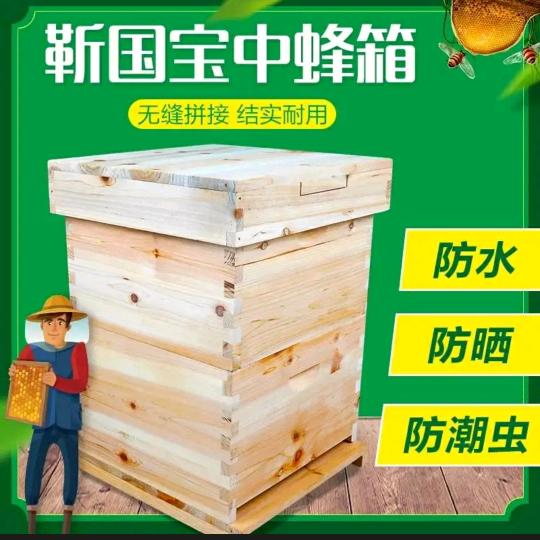 三门峡国宝中蜂养殖培训基地