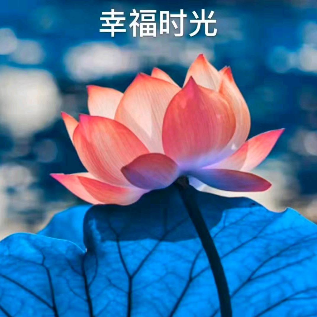 美丽人生👍