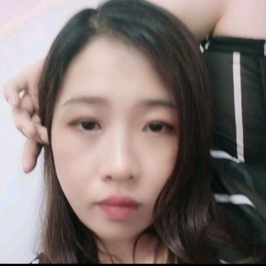 琴之星