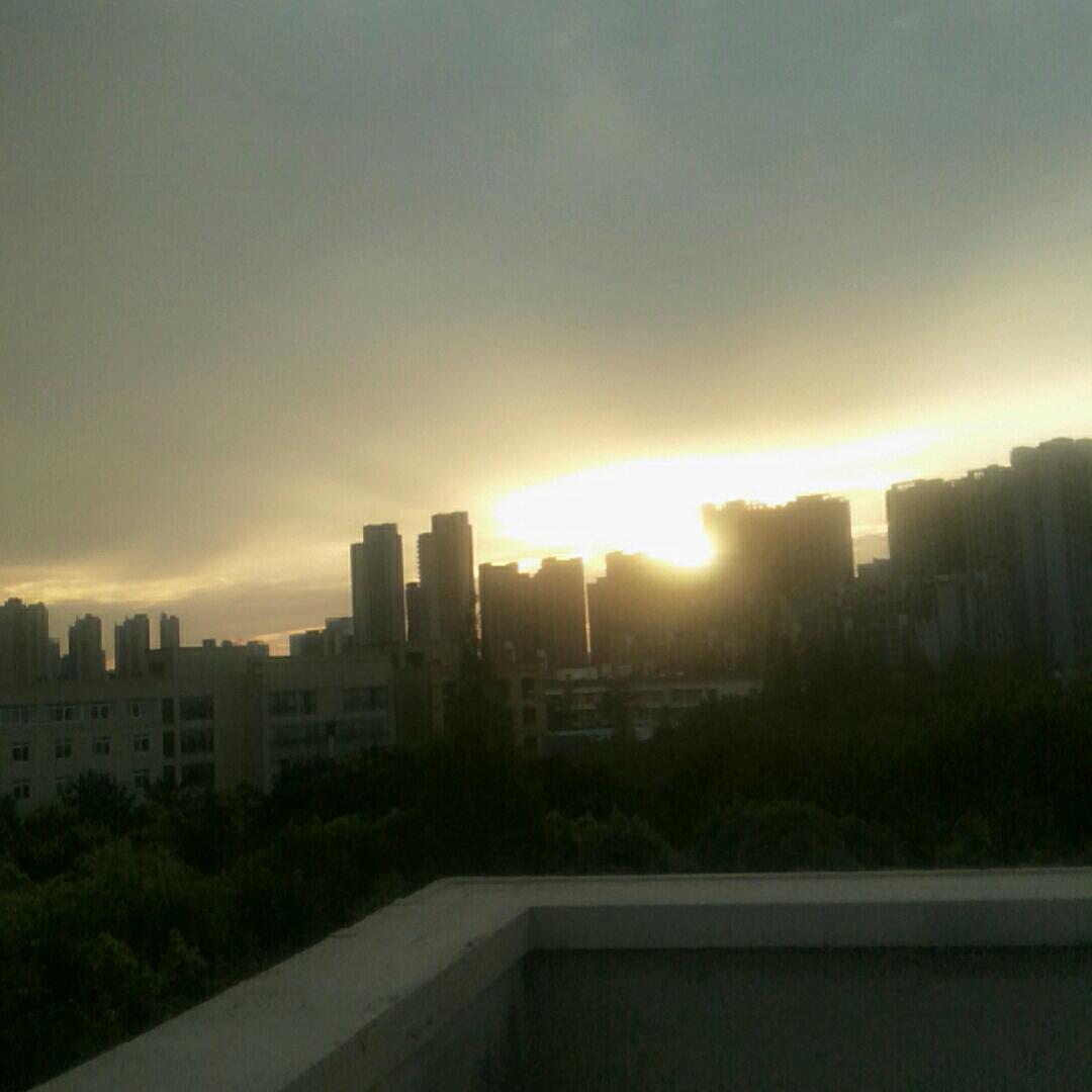 阳光
