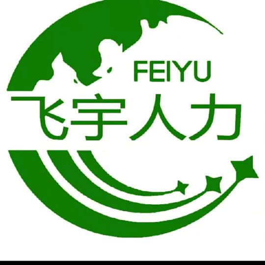 飞宇人力资源