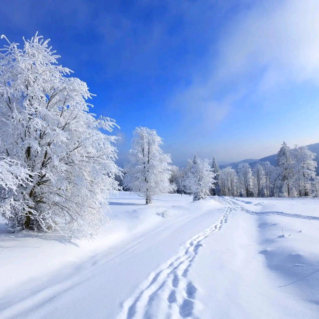 @伊人如雪