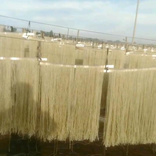 华强粉条！批发～零售！