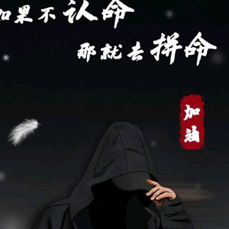 熊OVO猫