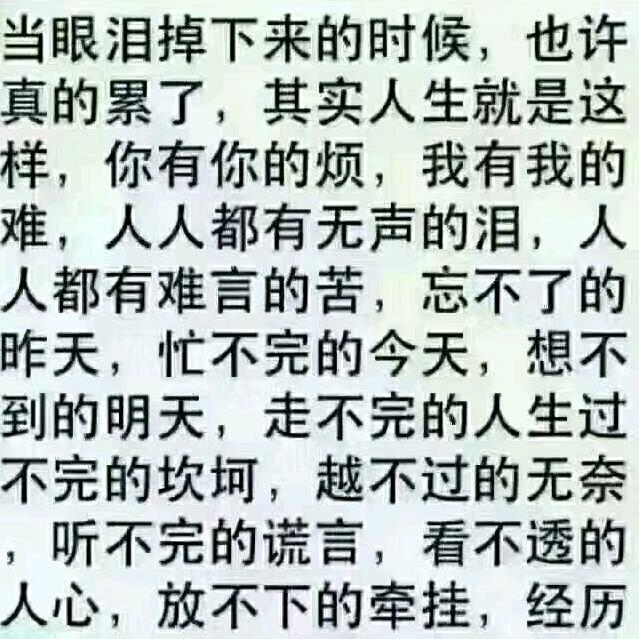 宋家三少爷