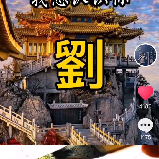 拥抱明天