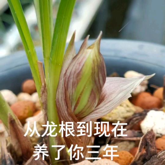 山青水秀