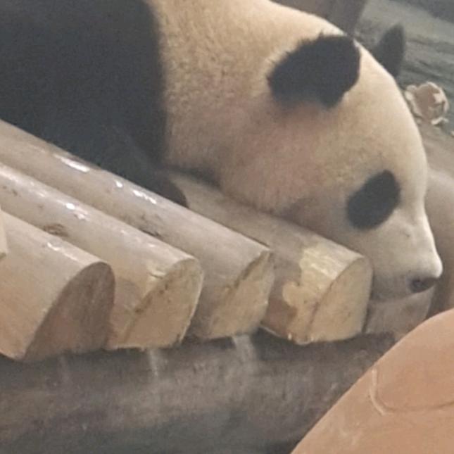 用户185575113524