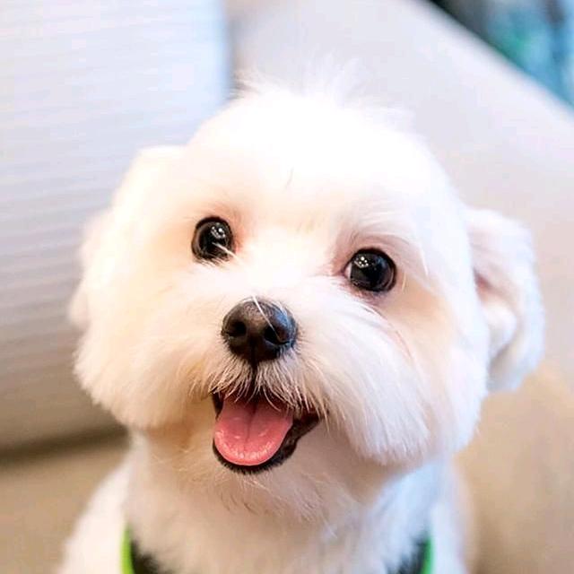 奔波灞