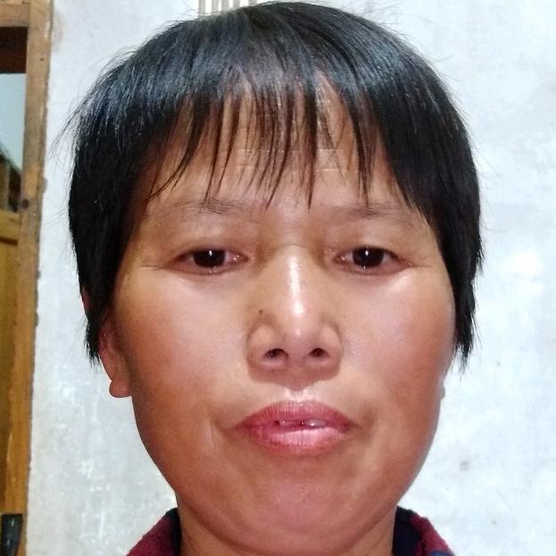 肖梅二