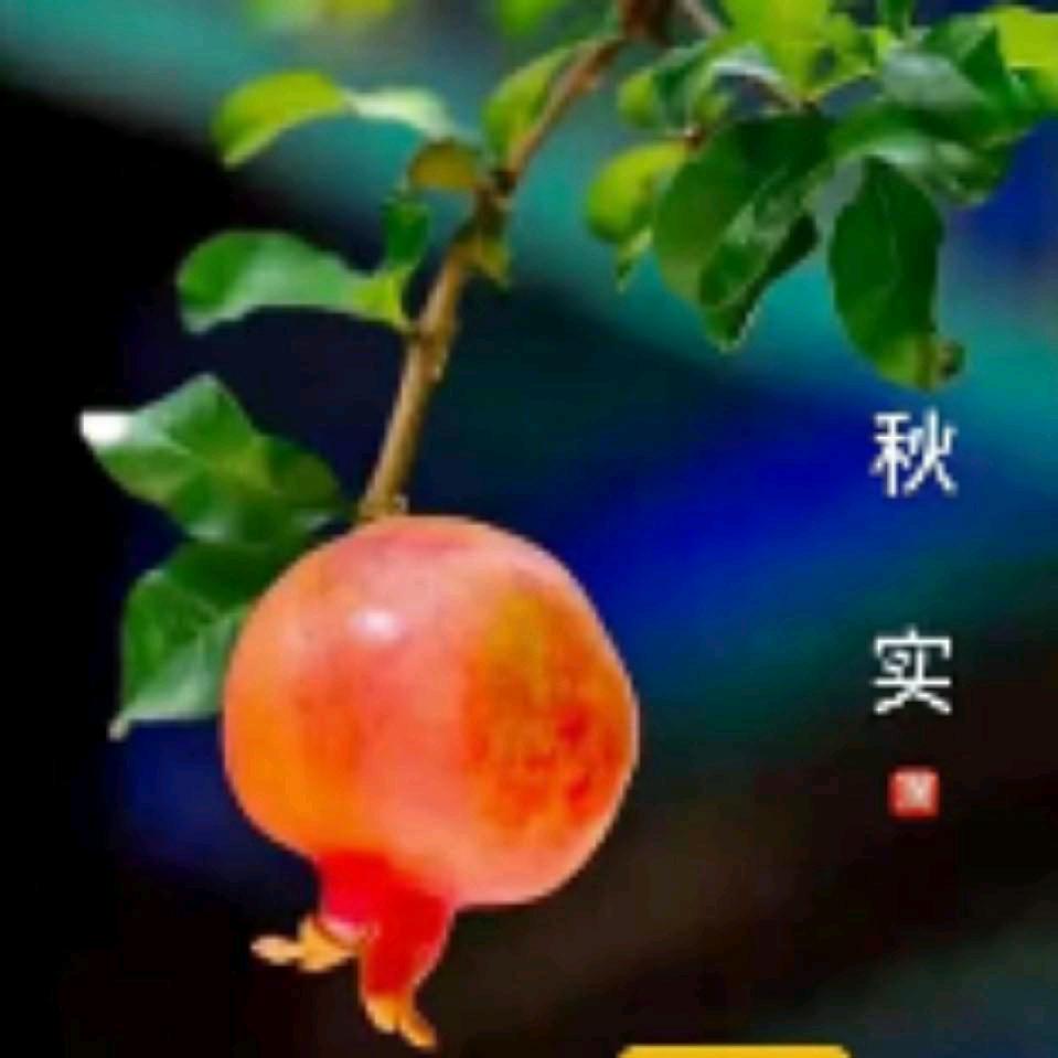 秋实.