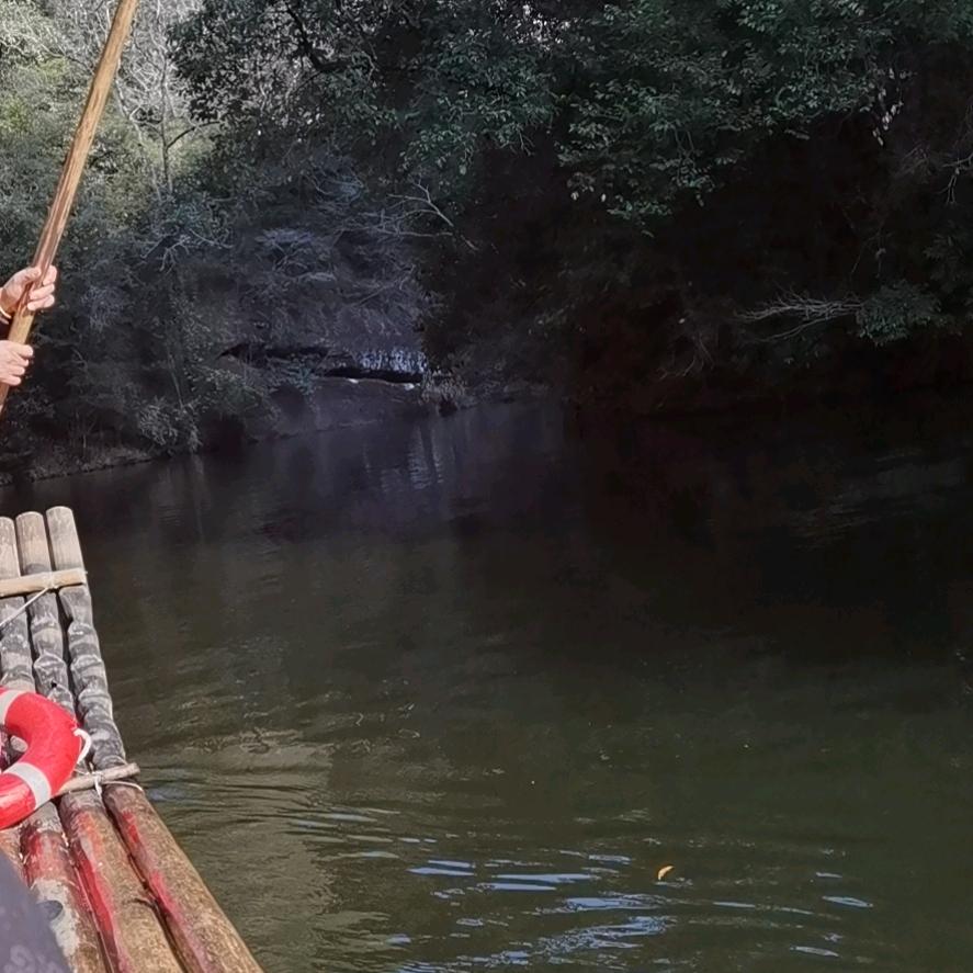 乘风破浪会有时！