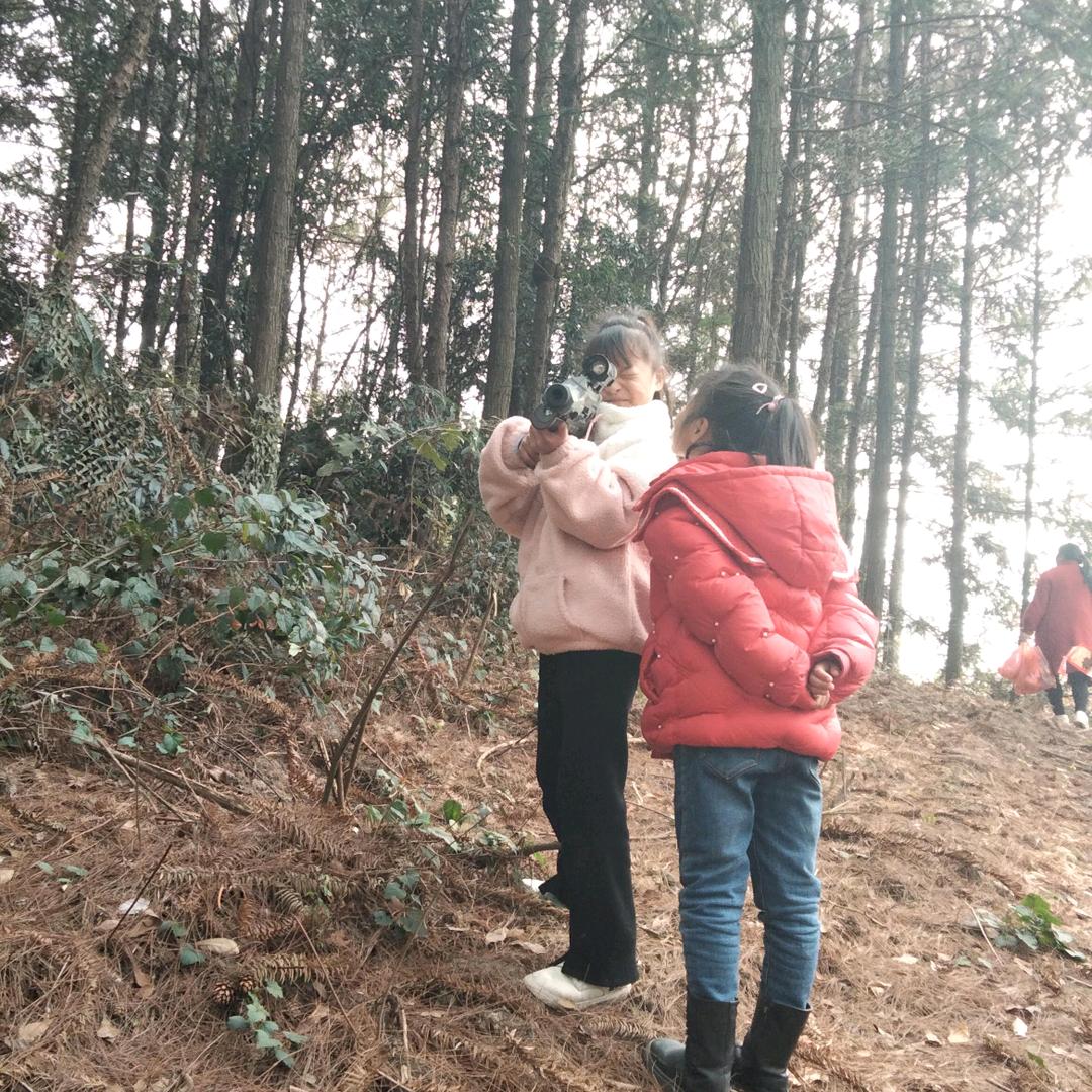 什么都是那浮云