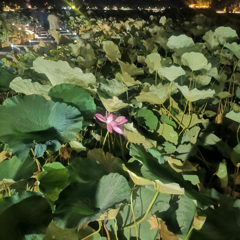 总以为来日方长