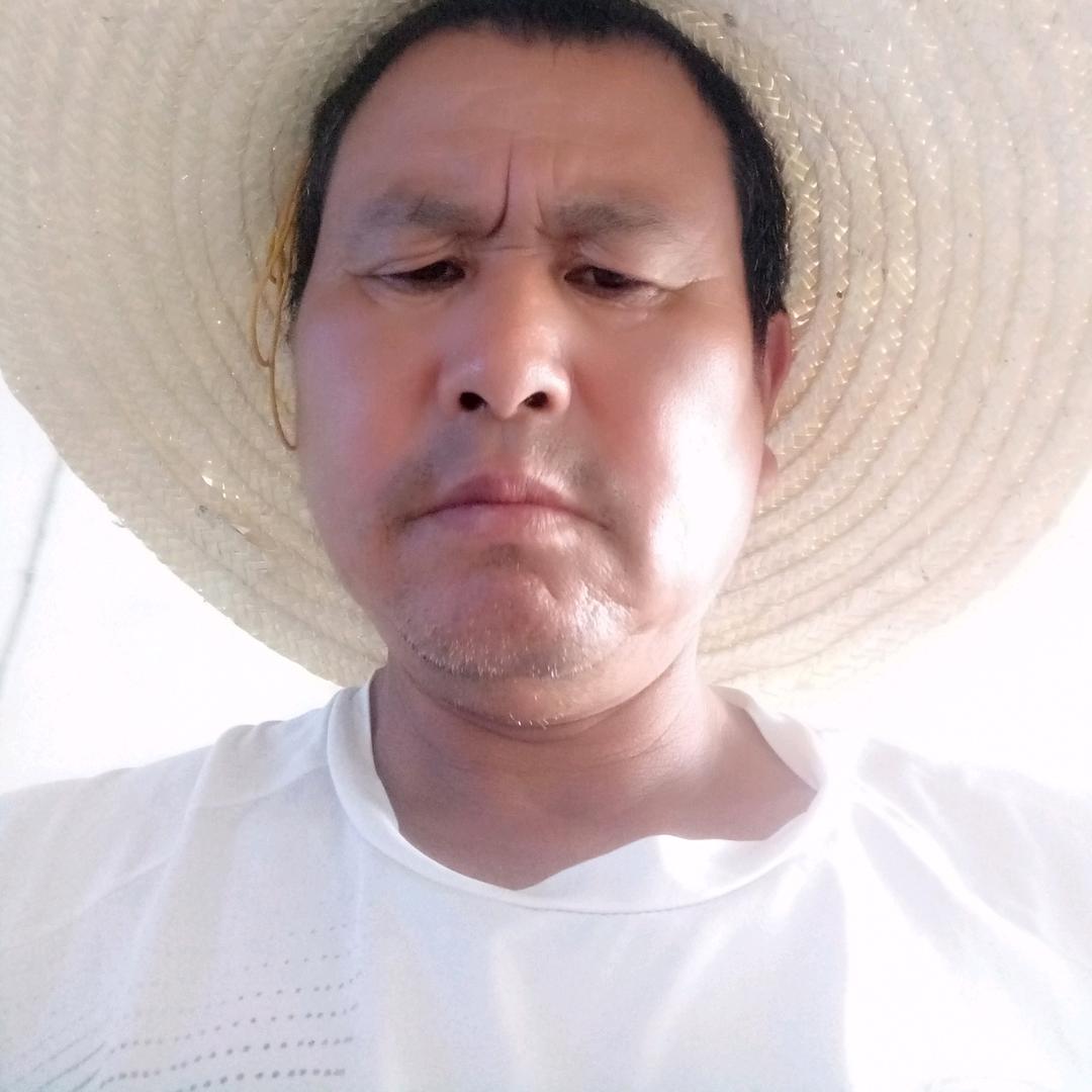 福星高赵