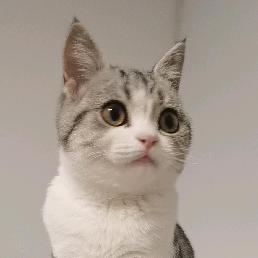 花总是超级大老板