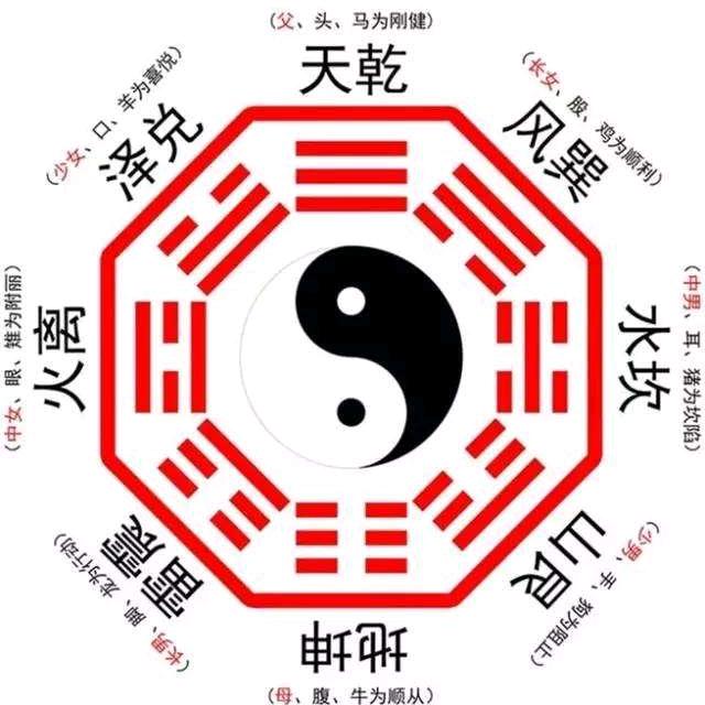 一枚帅