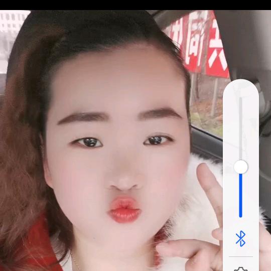 无腿菊花