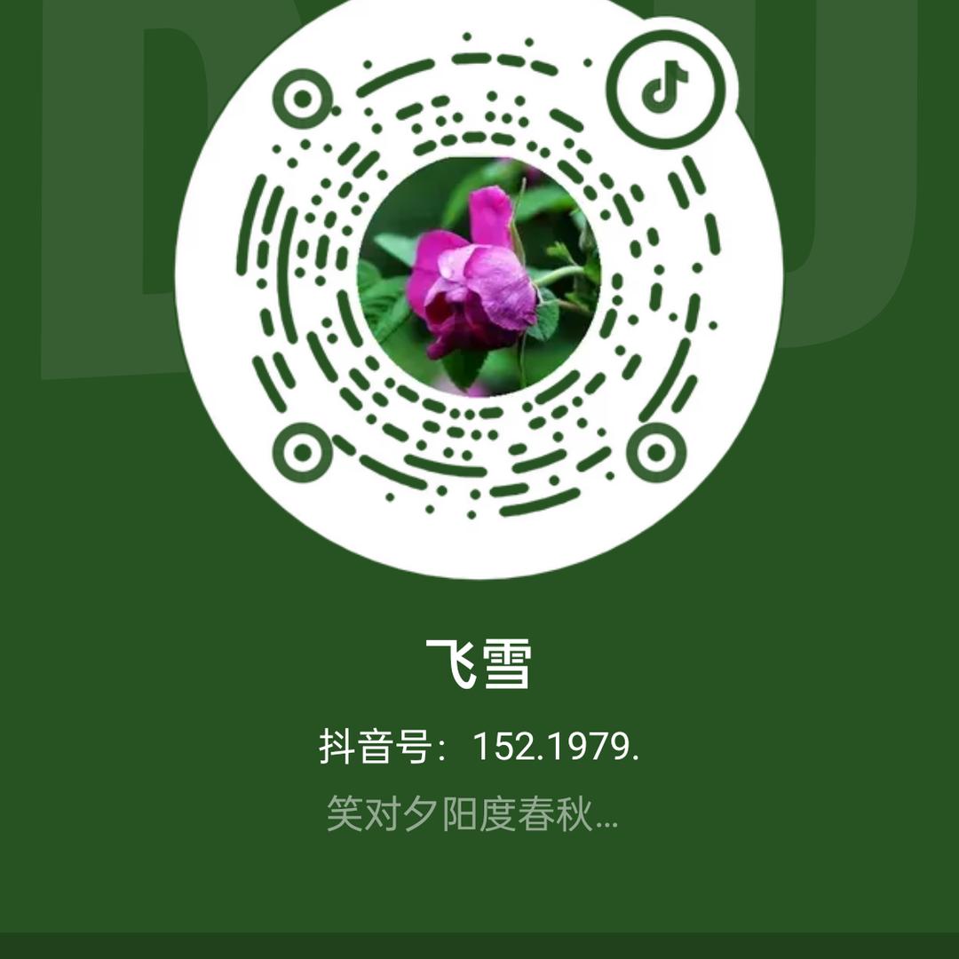 飞雪