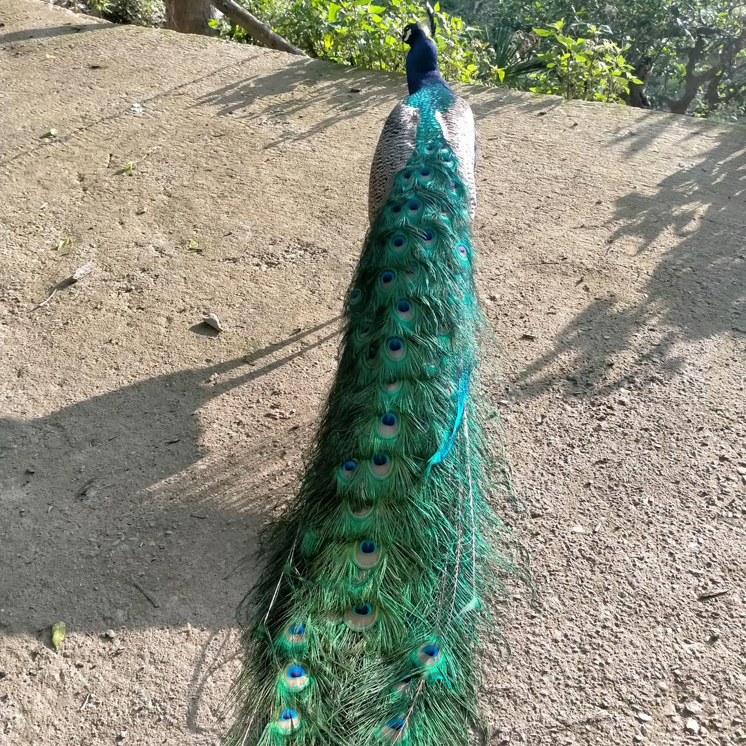 全程呵护安全放心（金玺货运）