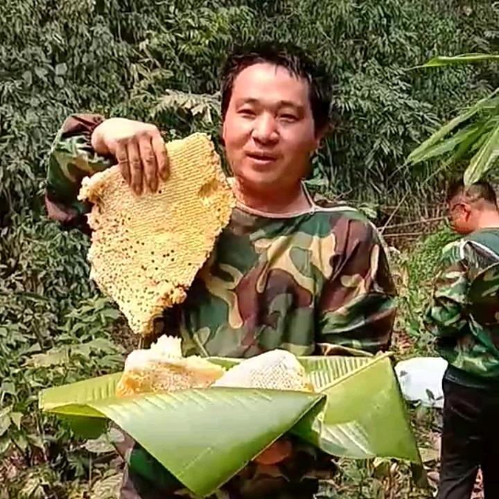 版纳花蕊情野生蜂蜜