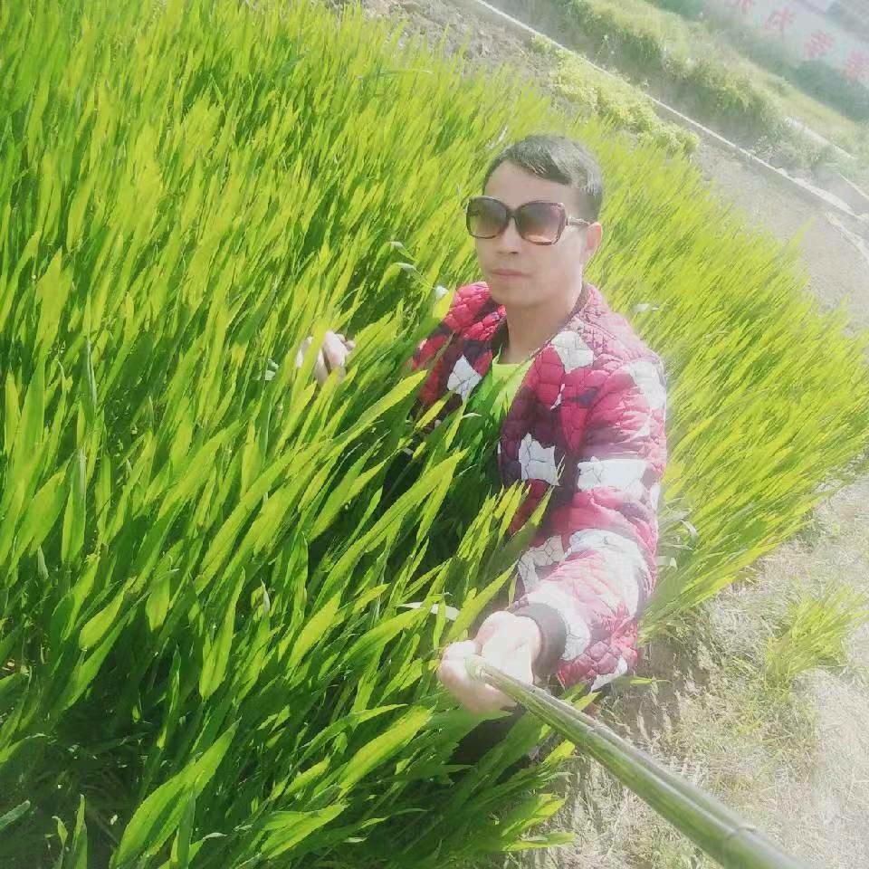 阳光男人