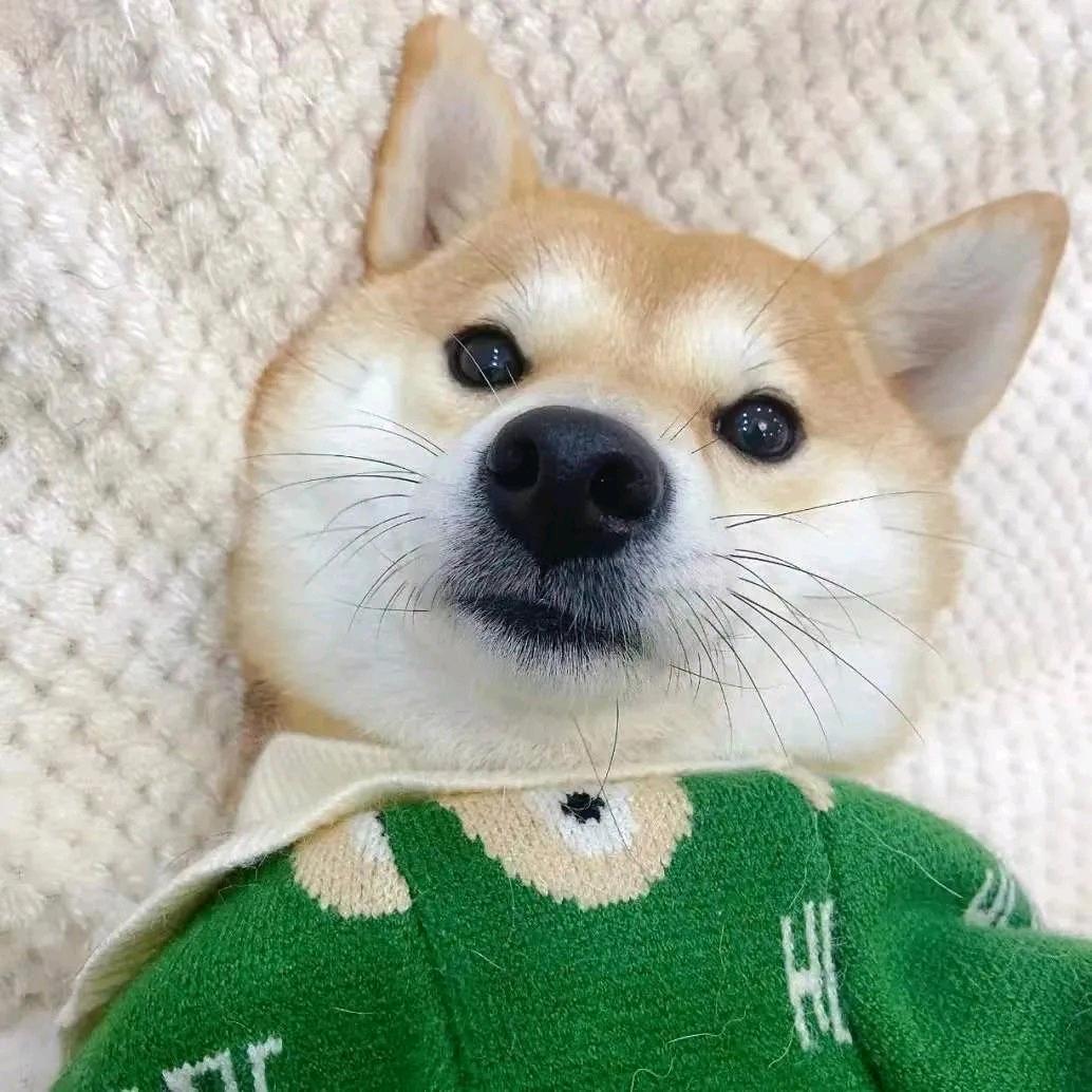 淘宝淘不到宝