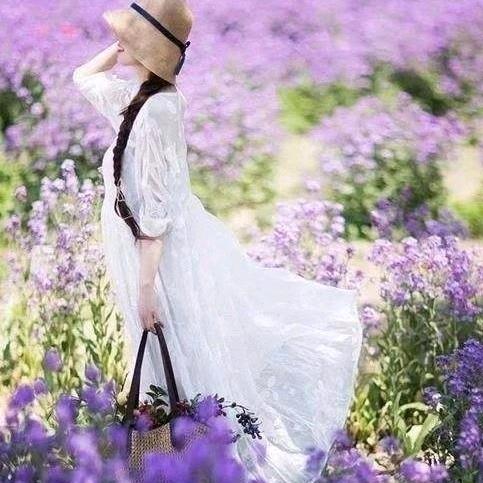 浪漫花语