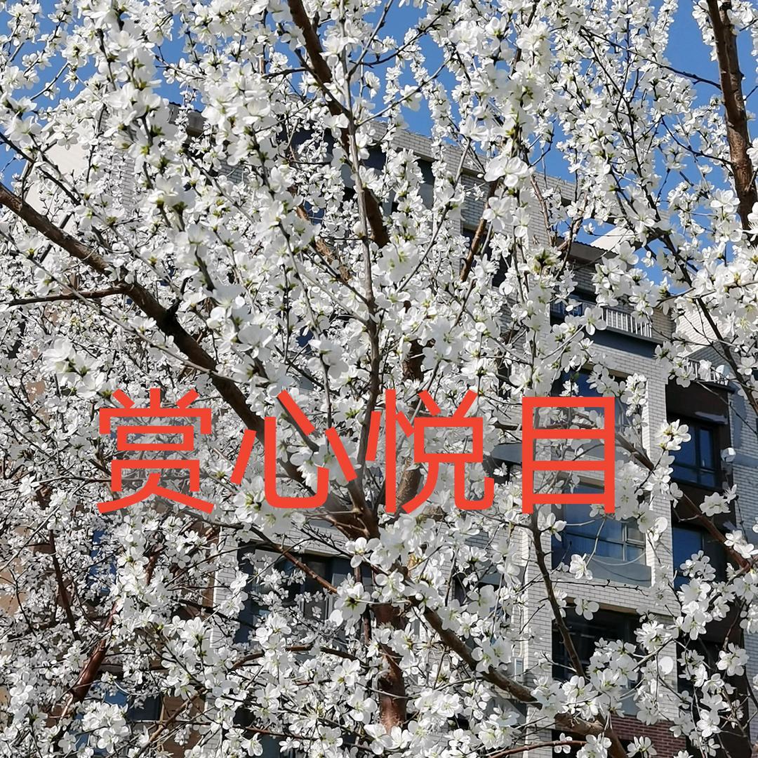 艳阳高照