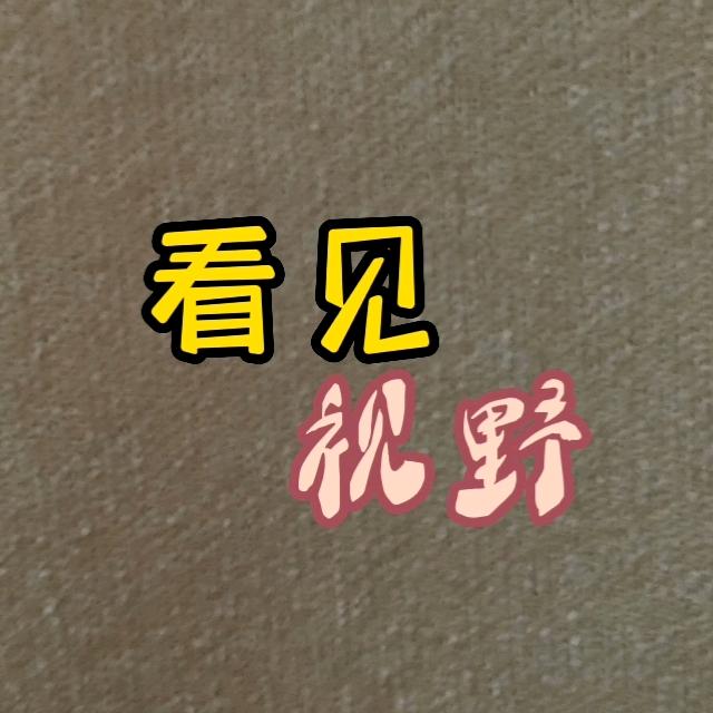 看见视野