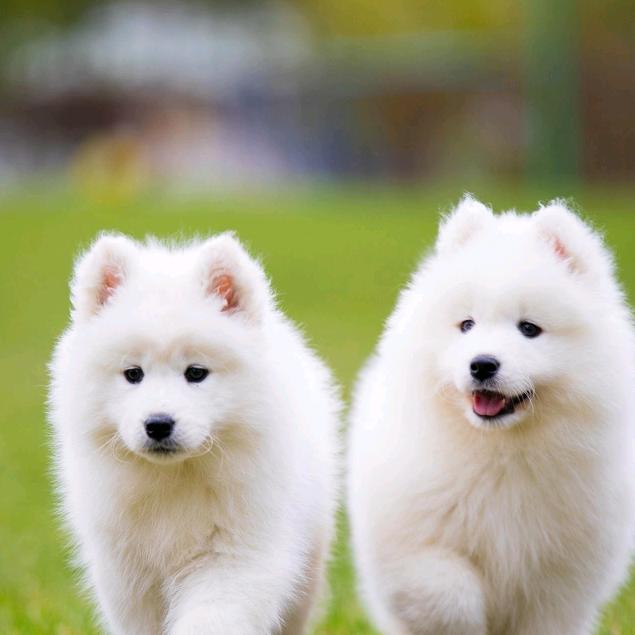 开心每一天_254094411