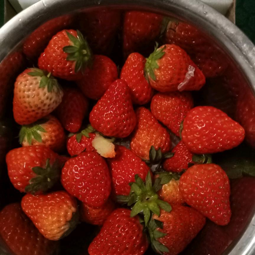 茶茶吖