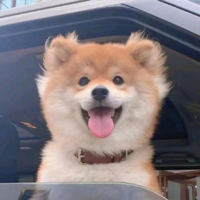 豆子啊