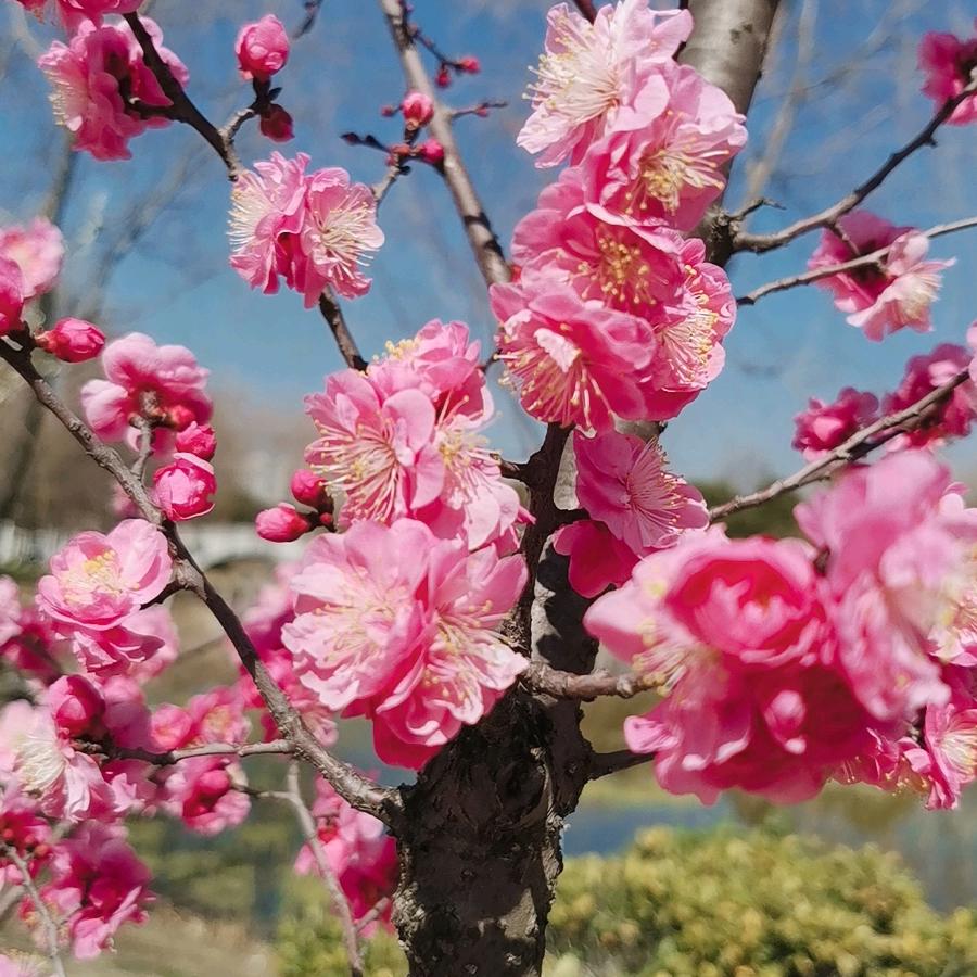 珍惜每一天💗💗🎈🎈🎈