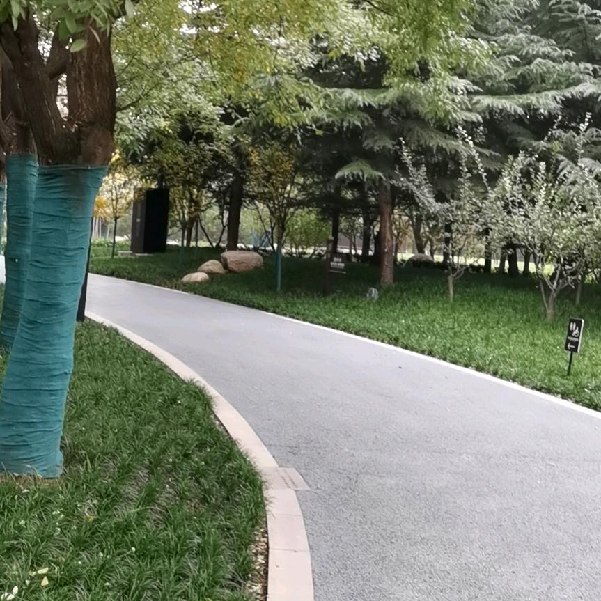 哆米奶奶