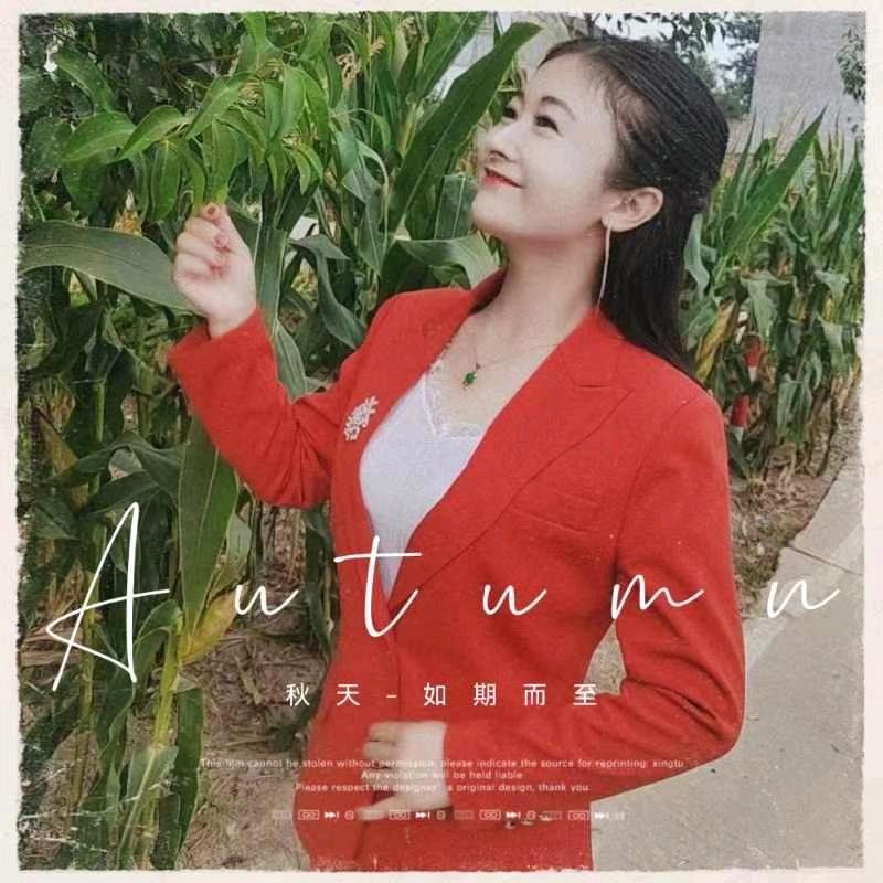 婚庆&吉祥【喜总+司仪】