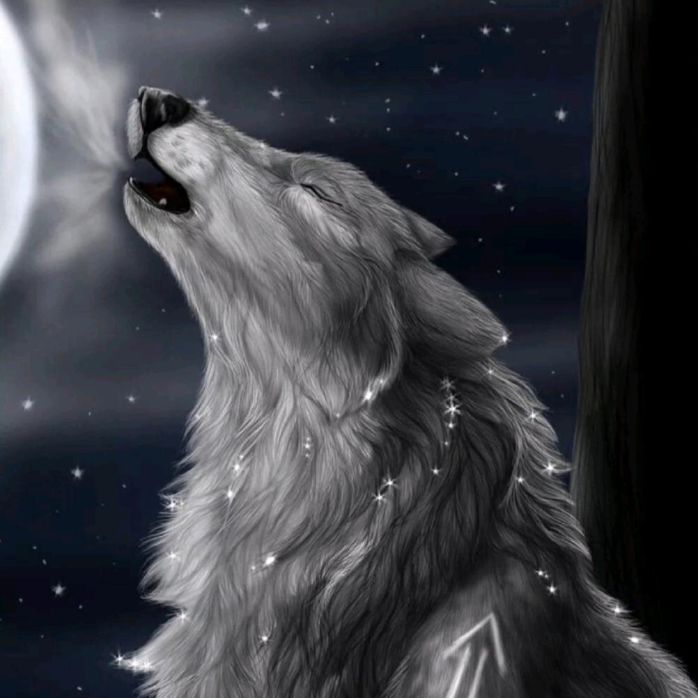 大汇种业黄淮海