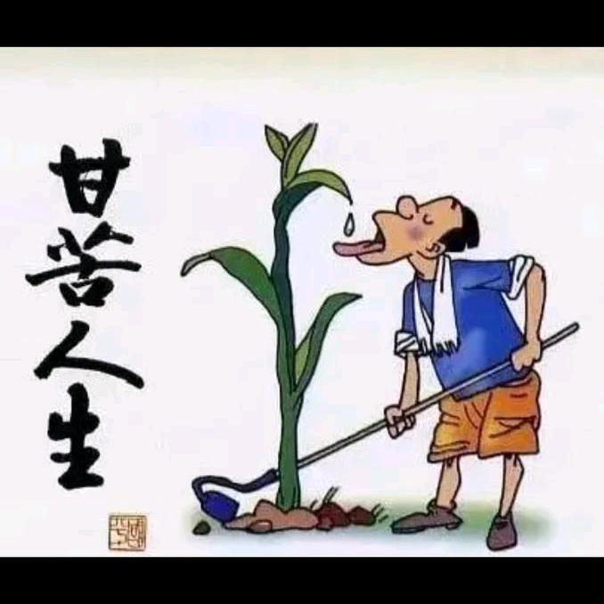 继续……