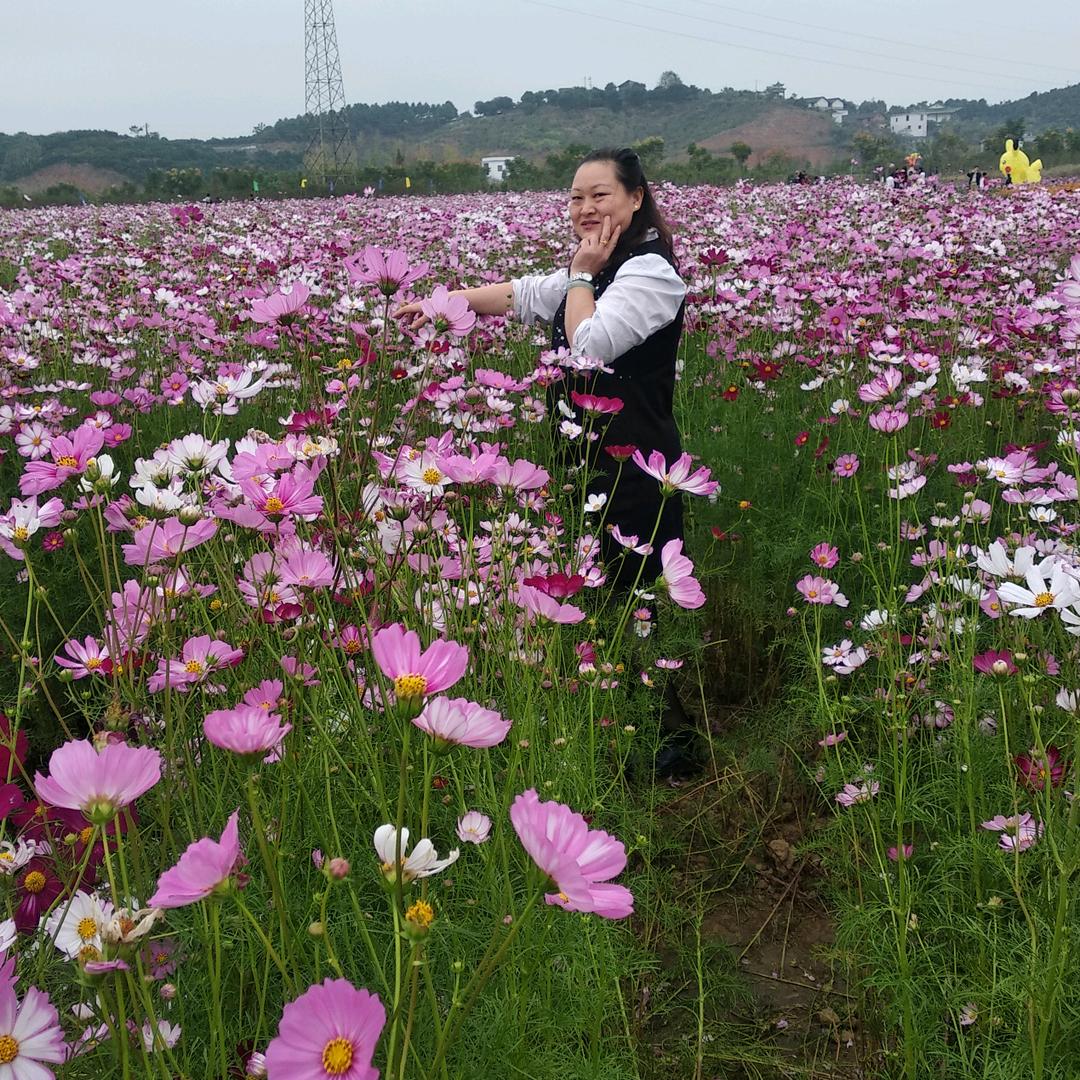赖满芝
