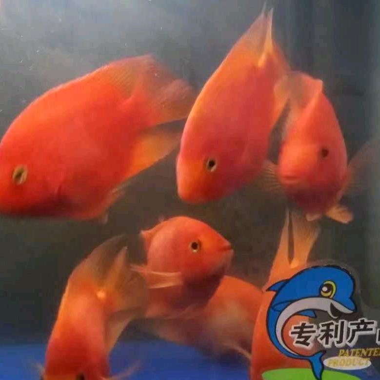 用户611752999