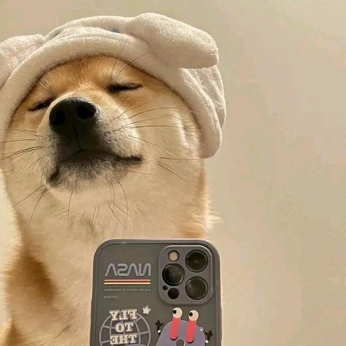 ღ陌颜এ⁵²º᭄