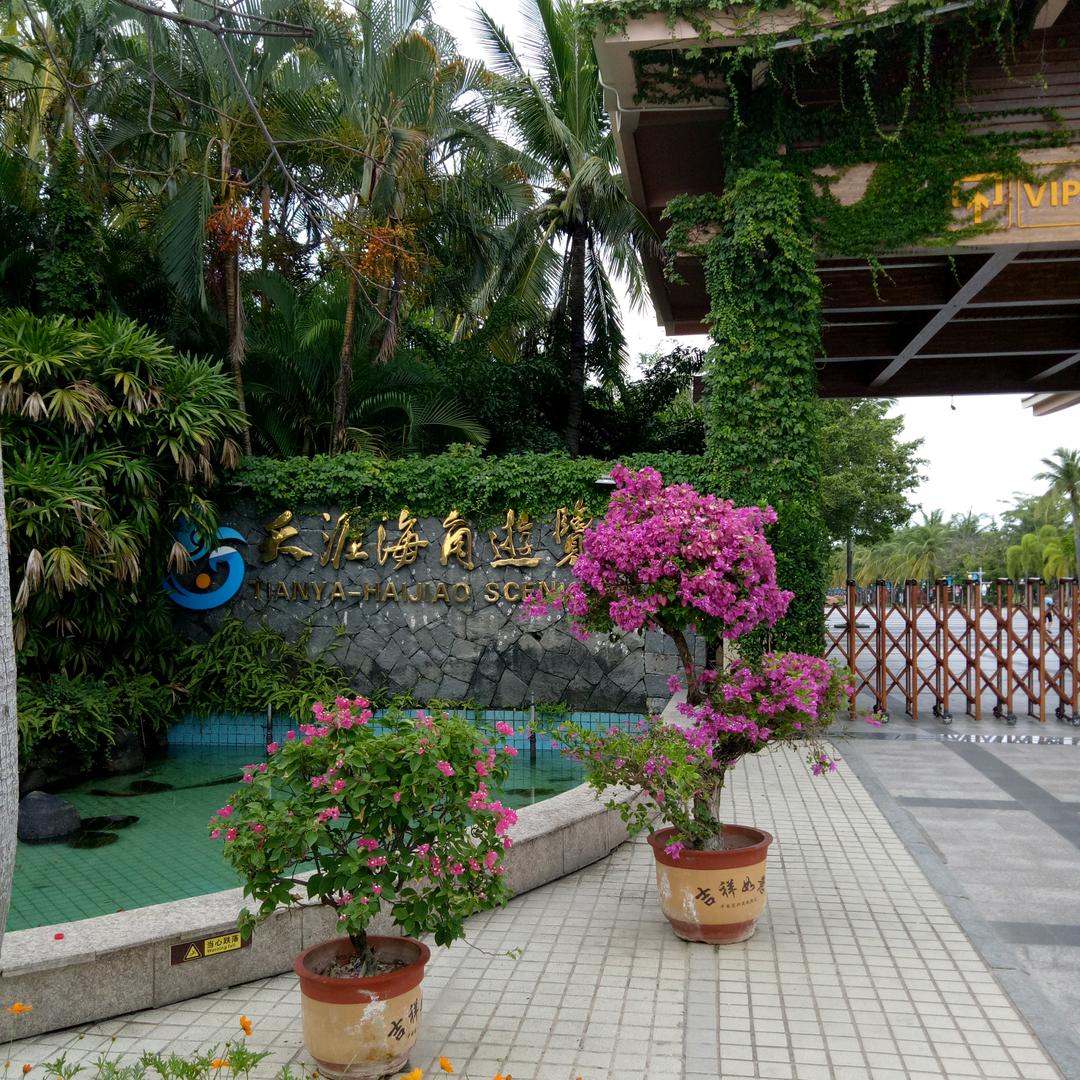 陈永胜