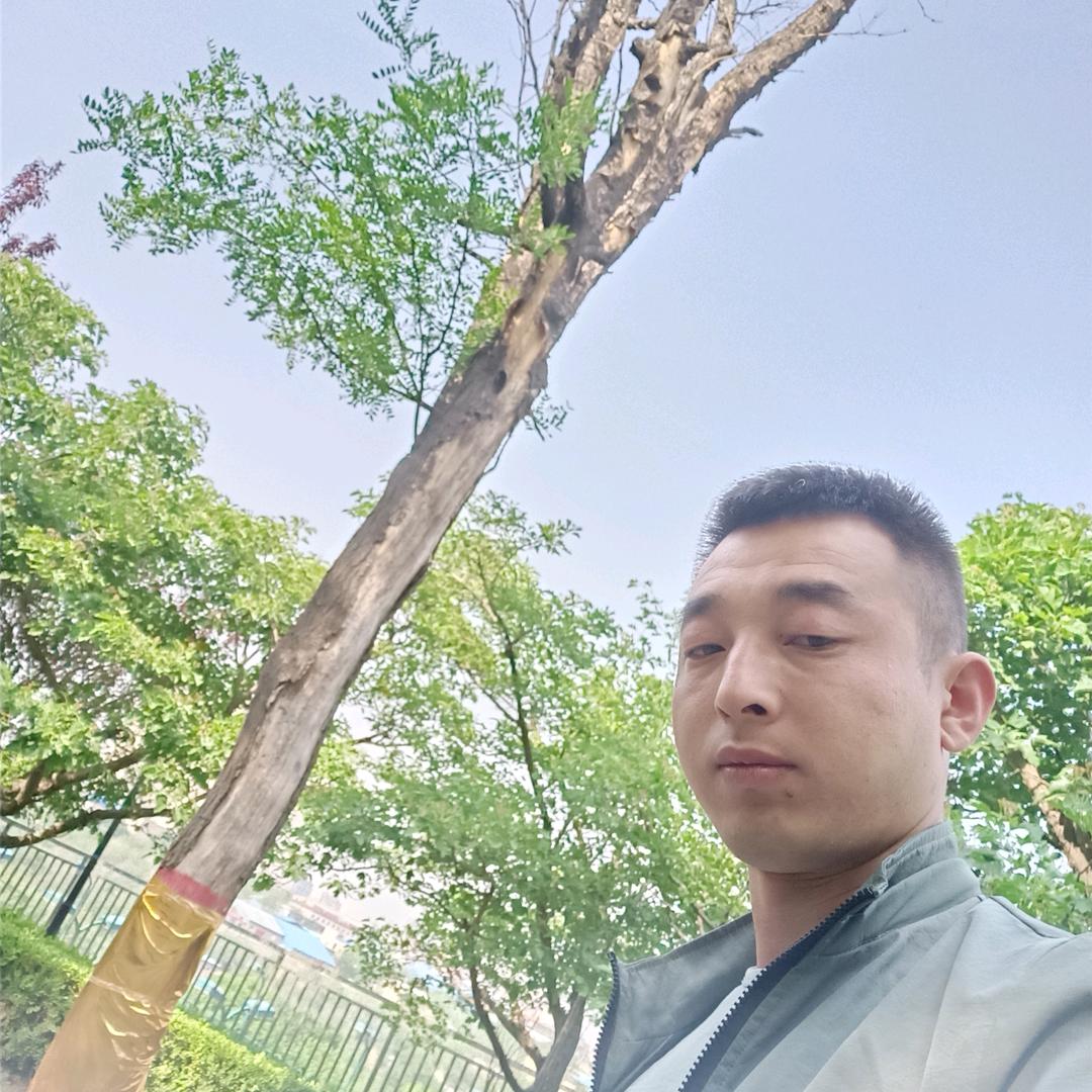 二棉出租挖机